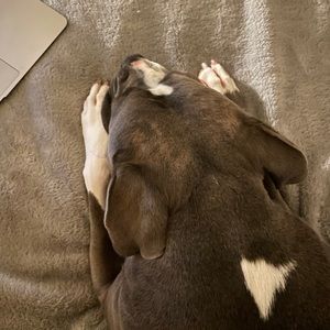 Meet your Posher, Amy